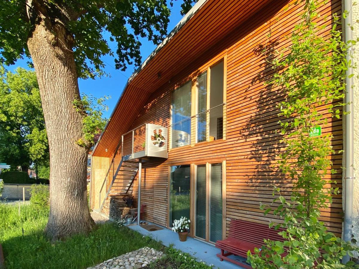Loft Mit Dachterrasse Apartment Bernau am Chiemsee Luaran gambar