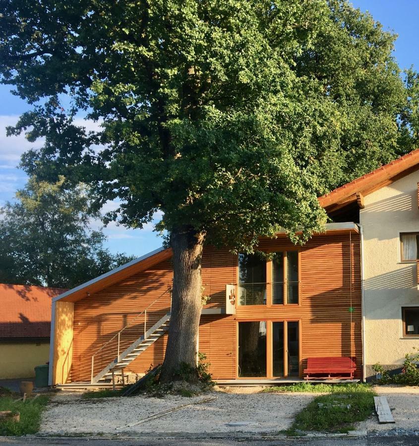 Loft Mit Dachterrasse Apartment Bernau am Chiemsee Luaran gambar